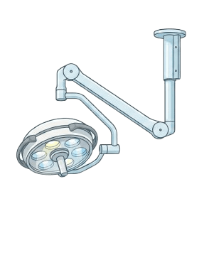 Modern Ameliyathane Sterilizasyon Ekipmanları Bodrum Veteriner Cerrahi