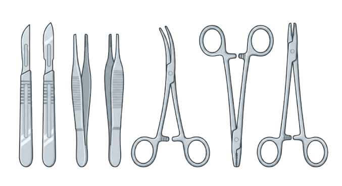 Cerrahi Sonrası İyileşme Ve Ağrı Yönetimi Süreci Bodrum Veteriner