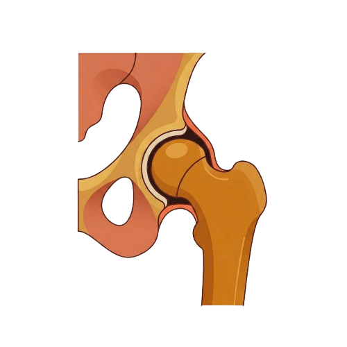 ortopedi ameliyatı veteriner